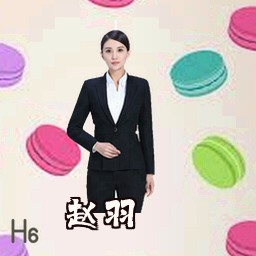 赵羽